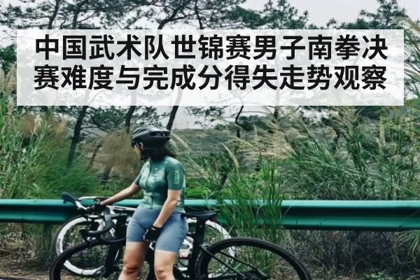 中国武术队世锦赛男子南拳决赛难度与完成分得失走势观察